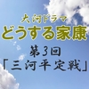 どうする家康 第3回 感想 不憫な元康と於大の方の強烈キャラ