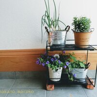 木製フラワースタンドを簡単 安くdiy 室内栽培 観葉植物 作り方 広く浅くまるく 木製フラワースタンドを簡単 安くdiy 室内栽培 観葉植物 作り方 広く浅くまるく