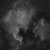 北アメリカ星雲(NGC7000) (2022/8/18)