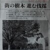 樹木の伐採を考える会：大阪市の保全判断と緑化課題