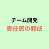 チーム開発 責任感の醸成