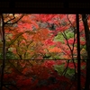 京都の紅葉が見頃を迎えています。（2024/11/29,30）