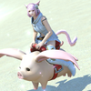 【FF14】ピクシー族へいたずら完了