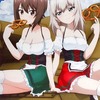 今西住まほ＆逸見エリカ A2タペストリー 「ガールズ＆パンツァー 劇場版」 メガミマガジン・ゲーマーズ限定にとんでもないことが起こっている？