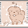 【犬漫画】犬友さんちに預けられた話その２