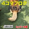 犬と猫の４コマ漫画　再放送3：お姉さん好き