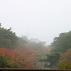  夙川の紅葉と霧