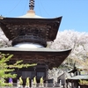 桜の絶景は茨城にあり！実録！オススメの茨城県西の絶景桜スポット３選。