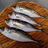 真アジ・ベイカ・鰯　など