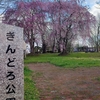 宮沢賢治ゆかりの地で春を感じる──ぎんどろ公園の桜