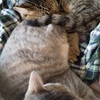 魂のレベル・・・