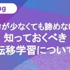 【データが少なくても諦めないで！】知っておくべき転移学習について