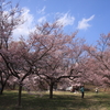 南信さくらツアー・一日目