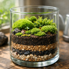 苔テラリウムソイルの作り方｜失敗しない基本配合と長持ちさせるコツ🌿