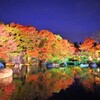 絶景の紅葉ランキング 1位は姫路城西御屋敷跡庭園 好古園（こうこえん）（兵庫県）