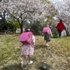 桜写真撮影会2023