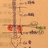 第2章 人体構造・機能論　4/4