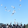 今日明日
