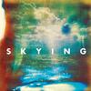 Skying/The Horrors（2011）今日のTSUTAYA DISCAS日記。#55