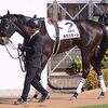 ２５日に帰厩。次走は来月８日の中山・ダ１２００（牝馬）を予定しています。鞍上にはＣ.ルメールＪ。☆カラパタール