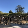 星住山 善養寺<小岩不動尊>（東京都江戸川区）2019/1/19