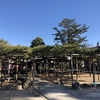 星住山 善養寺<小岩不動尊>（東京都江戸川区）2019/1/19