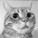 おいなりの随筆、かもしれない
