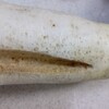 野菜レスキュー