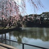 cycling around the Imperial Palace