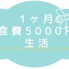 祝購読者100人突破記念（1ヶ月、食費5000円チャレンジ！）