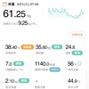 61.25kg 前日比 +0.05kg