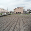 コミュ二ティ農園　菜の花準備進む