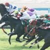 日曜競馬　回顧