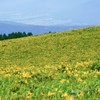 夏山　探訪　関東甲信・北陸編