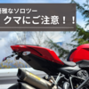 平日昼間の優雅なソロツーだけどクマにご注意