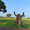 今日も元気で！パワー充満の朝ーやしろ中央公園ステラパーク