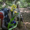 5月の里山