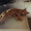 チャチャくんお迎え312日目