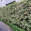 11月の大勢に来ていただきたいイベント・講演他