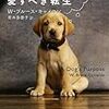 「野良犬トビーの愛すべき転生」Ｗ・ブルース・キャメロン／青木多香子訳／新潮文庫－たったひとりの少年イーサンを愛するために、トビーは何度も生まれ変わる