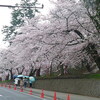 観桜会　弘前公園