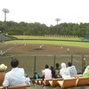 甲子園の予選を見に行ったり。