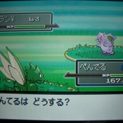 ポケモン本編 カテゴリーの記事一覧 2ページ目 みどりのながれ ポケモン本編 カテゴリーの記事一覧 2ページ目 みどりのながれ
