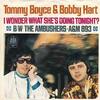 「あの娘は今夜（I Wonder What She's Doing Tonight）」トミー・ボイス&ボビー・ハート（Tommy Boyce & Bobby Hart）（1967）