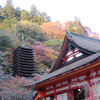 談山神社　紅葉　その２、あきののゆ