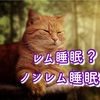 その認識間違ってるかも！？　睡眠の基礎知識