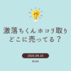 激落ちくんホコリ取りどこに売ってる？店舗と通販を徹底調査