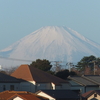 2024年1月7日(日曜日・七草の日)今年も夫婦で真面目に生きる～♪♪