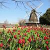 ふなばしアンデルセン公園：北欧の童話の世界を体感！