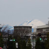 高崎城址公園周辺散歩　浅間山・ハクモクレンの花芽